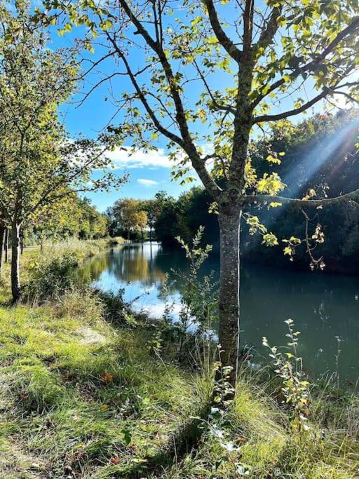 Insolite Peniche Amazonie Canal Du Midi Gardouch Exteriér fotografie